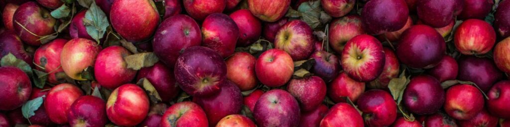 semaine europeenne reduction dechets 2000x500