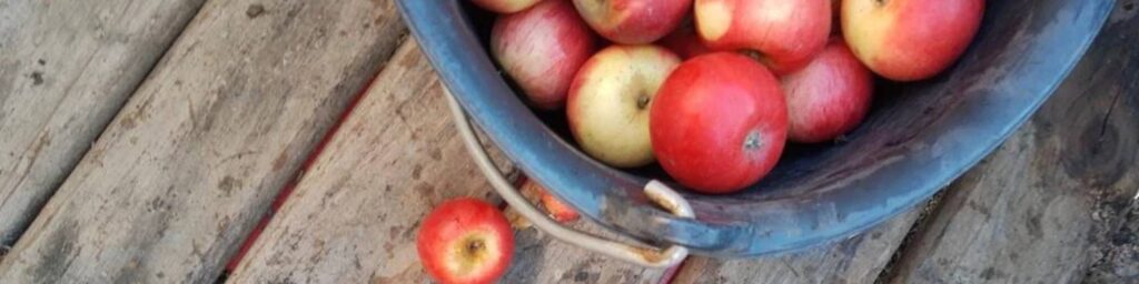 cidrerie sur les ondes