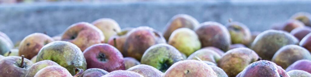 HIC certifié bio ! production 2022 2000x500