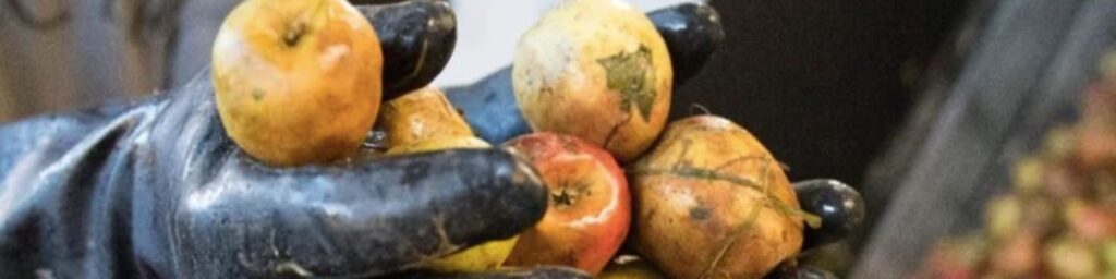 bandeau actu anti gaspi