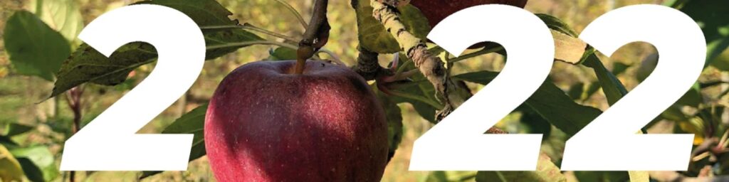 Bonne année 2022 ! bandeau actu bonne annee 2022