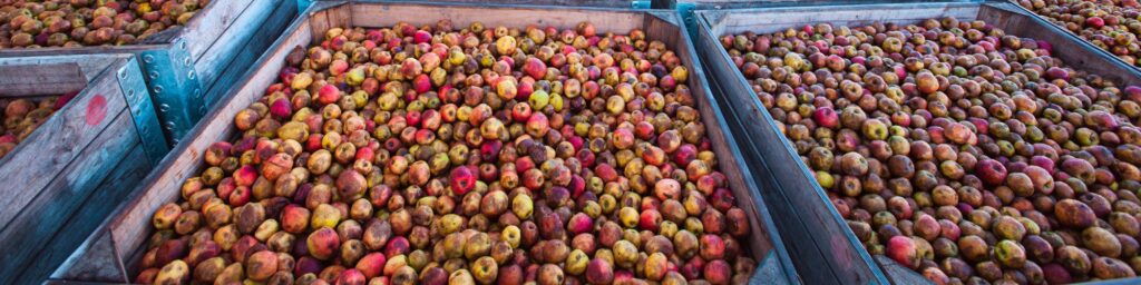 cidrerie hic palox pommes 2000x400