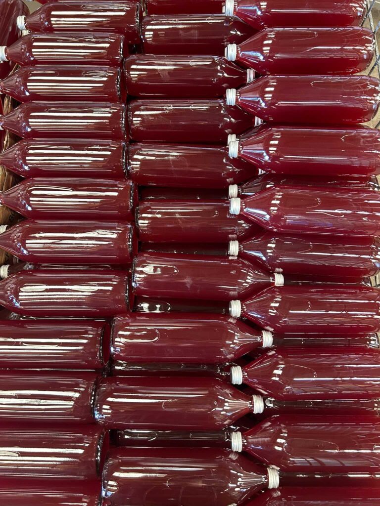 Bouteilles jus de raisin transformées à la Cidrerie HIC